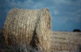 bale of hay